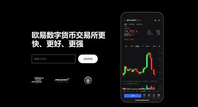 Oy软件下载页面展示